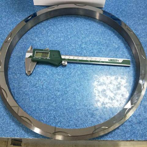 Anello di tenuta accanto a un calibro
